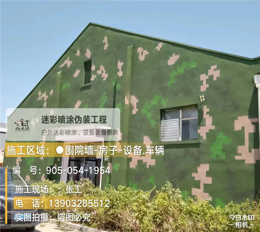 金山外墙数码迷彩漆施工报价清单(100㎡标准墙面测算)